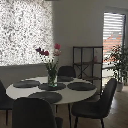 Lägenhet City Penthouse 2 Friedrichshafen